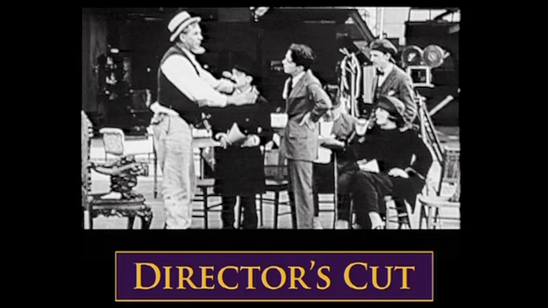 Visual for this record: A federal court traced a directing credit through Guild arbitration