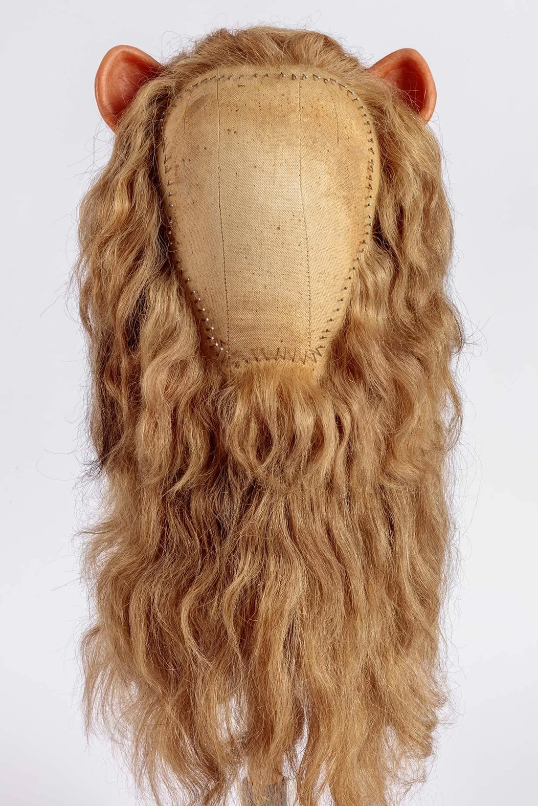 Visual for this record: A lion's mane at the Academy Museum documents one Oz credit